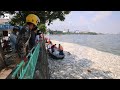 investigan la muerte masiva de peces en un lago en vietnam