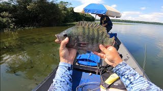 ACHAMOS A CASA DELAS, TEM MUITOS PEIXES AQUI!