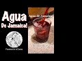 Agua de Jamaica | Shorts