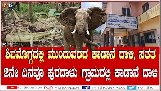 ಶಿವಮೊಗ್ಗದಲ್ಲಿ ಮುಂದುವರಿದ ಕಾಡಾನೆ ಹಾವಳಿ. ಸತತ 2ನೇ ದಿನವೂ ಪುರದಾಳು ಗ್ರಾಮದಲ್ಲಿ ಕಾಡಾನೆ ದಾಳಿ