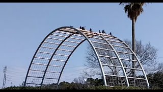 野良猫動画「千葉県の袖ケ浦海浜公園2に野良猫を探しに・・・」Stray cat video