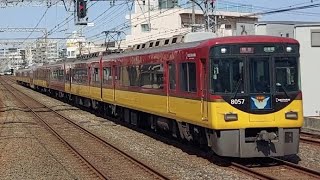 京阪8000系8007F特急淀屋橋行き森小路駅通過(2023/3/29)