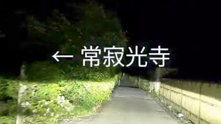 【深夜ドライブ京都奥嵯峨】【竹林の小道】京都嵐山渡月橋〜天龍寺〜野々宮神社〜竹林の小道〜大河内山荘庭園〜トロッコ嵐山駅〜小倉池〜常寂光寺〜愛宕野々宮神社御旅所〜嵯峨釈迦堂 #京都 #嵐山 #常寂光寺