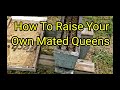 How To Raise Your Own Mated Queens