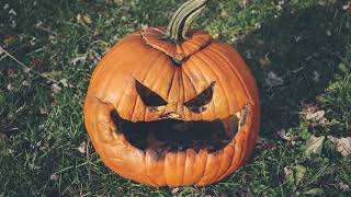 Detroit Zoo | Green Journey: Composting Pumpkins