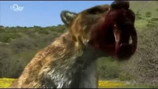 Monsters Resurrected [2009] - Smilodon Screen Time