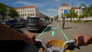 Multi-sensor Data for Egocentric AI