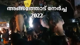 andathode nercha 2022