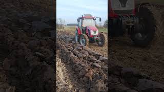 Zetor major 80 ciężka orka #zetor #ursus #agriculture #farming