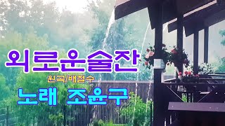 임보라노래교실/노래 조윤구 외로운술잔(배철수)