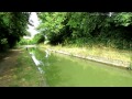 tring walk beside canal near tring in hertfordshire 1