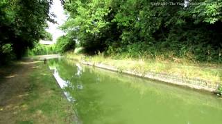 Tring - walk beside Canal near Tring in Hertfordshire 1