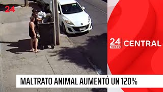 24 Horas Reportajes | Maltrato animal aumentó un 120%: Piden cárcel efectiva