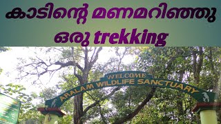 കണ്ണൂരിലെ ഒരേ ഒരു വന്യ ജീവി സങ്കേതം | Trip to Aralam Wildlife sanctuary | Places to see in KANNUR