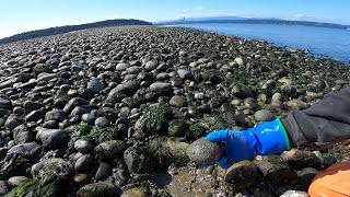 Cobblestone Beach Walk.  Anchor Test Video #107