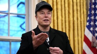 White House confirms Elon Musk just an advisor amid legal battles with DOGE