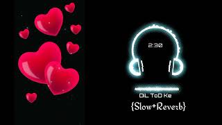 DiL ToD Ke (slow+Reverb) Song | B Praak