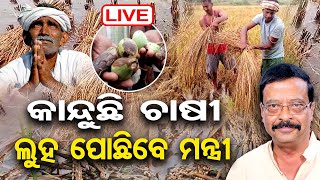 🔴LIVE | ଚାଷୀଙ୍କ ଦୁଃଖ ବୁଝିବେ ମନ୍ତ୍ରୀ | Paddy Loss | Suresh Pujari | Weather Update | 23.12.24 | OR |