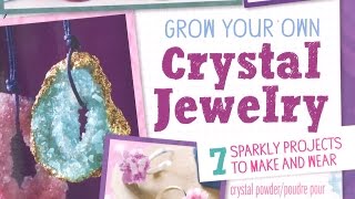 Grow Your Own Crystal Jewelry from Klutz