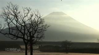 富士山の四季・ダイジェスト