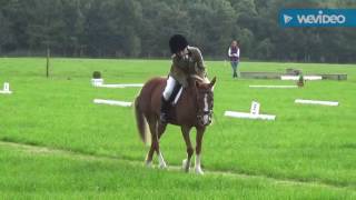 The Land Rover Pony Club Regional Dressage Championship 2016