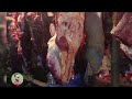 অবিশ্বাস্য গরুর মাংস ৬০০ টাকায় incredible beef for 600 hundreds taka