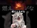 【猫ミーム】ソニックxシャドウジェネレーションズのアニメが初公開された日の話 猫meme 猫ミーム shorts