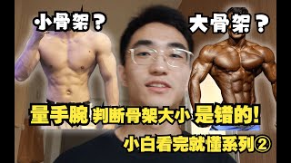 【纯小白课堂 】什么是骨架，关节？如何判断？哪一种天赋更好？