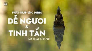 Dễ Ngươi & Tinh Tấn - SƯ TOẠI KHANH | Phật Pháp Ứng Dụng #sutoaikhanh