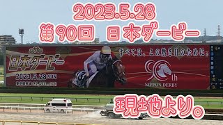 【競馬】2023.5.28　第90回 日本ダービー　現地スタンドより。【すごい熱気】