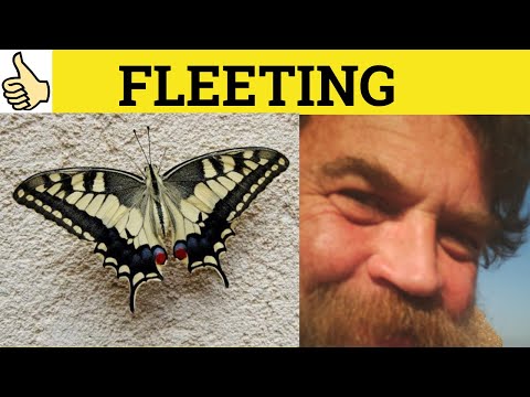 What is the definition of fleeting?