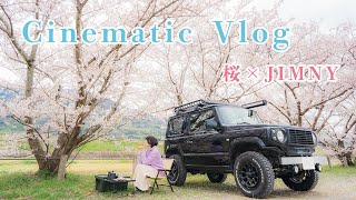 【Cherry-bolssom viewing】I drive the suzukijimny in beautiful spring in Japan