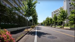 Cycling | 成田線我孫子支線 新木駅~布佐駅 | 4K | June 2024 | 字幕あり