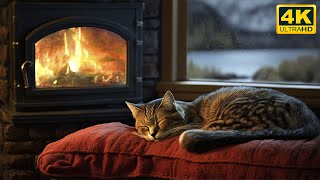 Relax with Purring Cat, Crackling Fireplace and Rain sound 4K 🔥 Sleep in Cozy Ambience