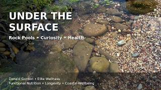 Under the Surface: Rock Pools, Curiosity & the Hidden Life of Health
