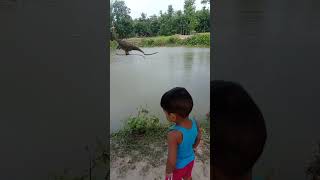 বাঁচাও বাঁচাও মাম্মা 😱 #dinosaus #shortvideo #babyvideos #