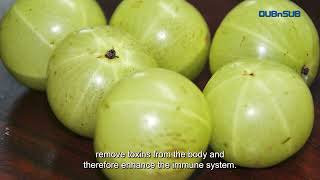 Medicinal Plants of Myanmar Ep III