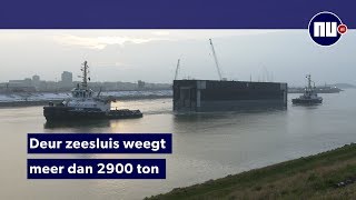 72 meter lange deur van 's werelds grootste zeesluis komt aan in IJmuiden