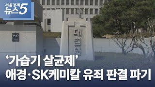 ‘가습기 살균제’ 애경·SK케미칼 유죄 판결 파기