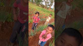 Vegetable Garden Visit Sunday | #shorts #shortvideo #short #status | SAPPATTU SAVALKAL