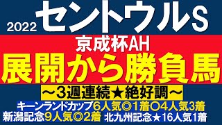 2022 セントウルステークス 2週連続◎9人気◎6人気連対中！ 秋競馬も的中へ 京成杯オータムハンデ 2022