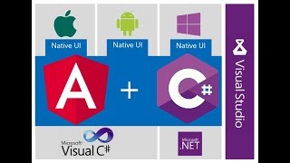 Building a Native Application Using Angular In Visual Studio with a C# API Backend