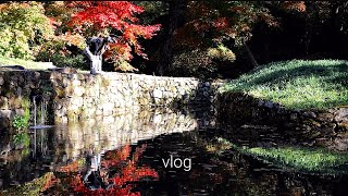 VIog . 가을속으로 풍덩 빠졌어요 . 선암사 산행 . 산채정식 . 꽃피는춘삼월 카페 . 프리마켓 구경하기