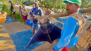 Amazing! Traditional rural fishing village hard working fishermans fish cutting skills in Sri Lanka