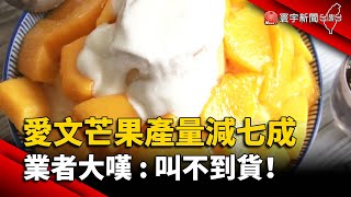 愛文芒果產量減七成 業者大嘆：叫不到貨！@globalnewstw