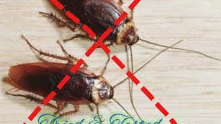 Kitchen tip no 5- Aagya Sabse Asardar Cockroach Killer- Ekdum Kam budget Me Cockroach Ka Safaya