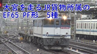 大宮を走るJR貨物所属のEF65 PF形　5種