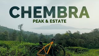 CHEMBRA PEAK AND ESTATE | WAYANAD PART 2 | 4K | MTB