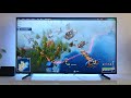 Northgard Nintendo Switch dock mode | 4K HDR10+ Samsung 55NU7093 138cm