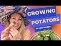 Ultimate Guide to Growing Potatoes in Containers 🥔🌱 | Container Gardening Tips